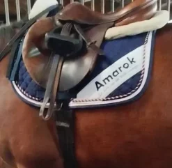 Tapis championnat de France