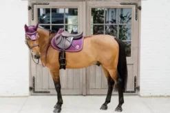 Tapis 3D Logo Onion Quilt JUMPING - Kentucky