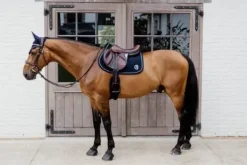 Tapis 3D Logo Onion Quilt JUMPING - Kentucky