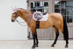 Tapis 3D Logo Onion Quilt JUMPING - Kentucky