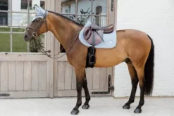 Tapis 3D Logo Onion Quilt JUMPING - Kentucky