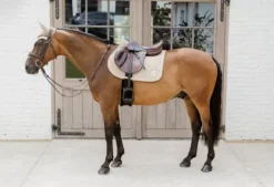 Tapis 3D Logo Onion Quilt JUMPING - Kentucky