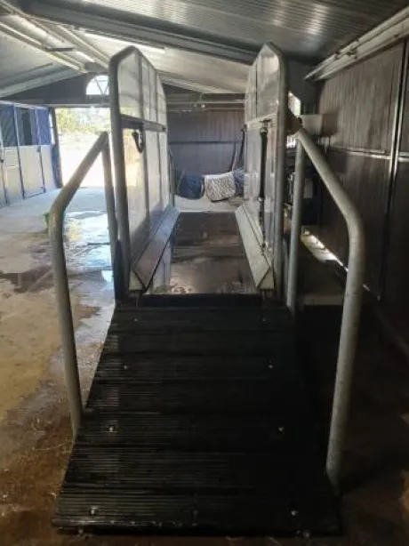 Tapis de marche horse trainer neuf