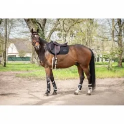 Tapis de selle Carat - Jump'in