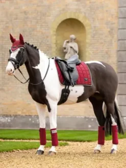 Tapis de selle dressage loire classic ember - Lemieux - satin tissé