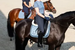 Tapis de selle glossy jewel classic sports 2025 - eskadron - edition limitée