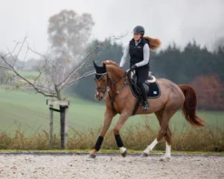 Tapis de selle hfi velvet - HFI - tissu velours