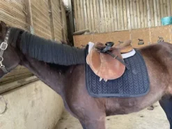 Tapis de selle Kentucky noir pear dressage