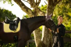 Tapis de selle Limoncello - Equito