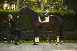 Tapis de selle Limoncello - Equito