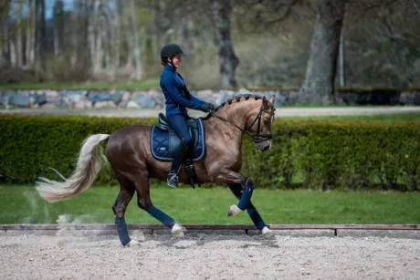 Tapis de selle midnight blue - equestrian stockholm - tissu déperlant