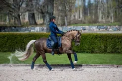 Tapis de selle midnight blue - equestrian stockholm - tissu déperlant