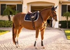 Tapis de selle Midnight Edge - Equestrian Stockholm
