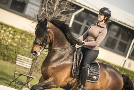 Tapis de selle Noir et Bronze 2.0 - EQUITO