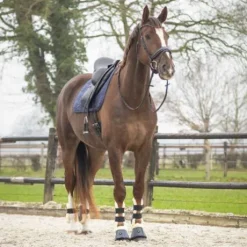 Tapis de selle Sensisoft - QHP - Doublure en fausse fourrure