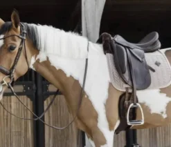 Tapis de selle Skin-Friendly Velvet - Kentucky