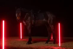 Tapis de selle Sparkle Crystal Dynamic 25 A/W - Eskadron - Éléments antidérapant