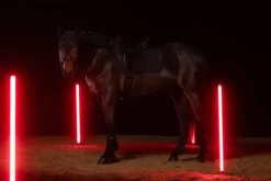 Tapis de selle Sparkle Crystal DRESSAGE Dynamic 2025 - Eskadron