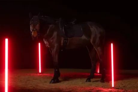 Tapis de selle Sparkle Crystal DRESSAGE Dynamic 2025 - Eskadron