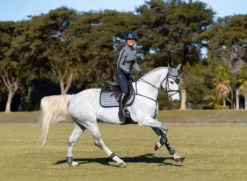 Tapis de selle Sportive Blue Ash - Equestrian Stockholm