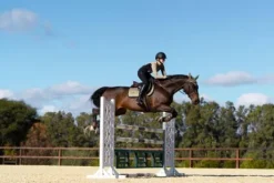 Tapis de selle Sportive Chantelle - Equestrian Stockholm