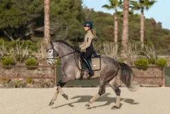 Tapis de selle Sportive Chantelle - Equestrian Stockholm