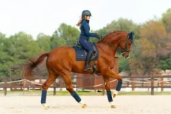 Tapis de selle Sportive Navy - Equestrian Stockholm