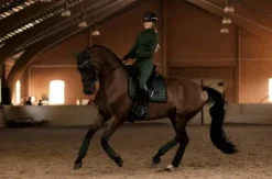 Tapis de selle Sportive Sycamore Green - Equestrian Stockholm