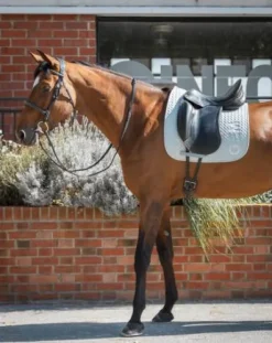 Tapis de selle Ten GEM en CSO ou Dressage
