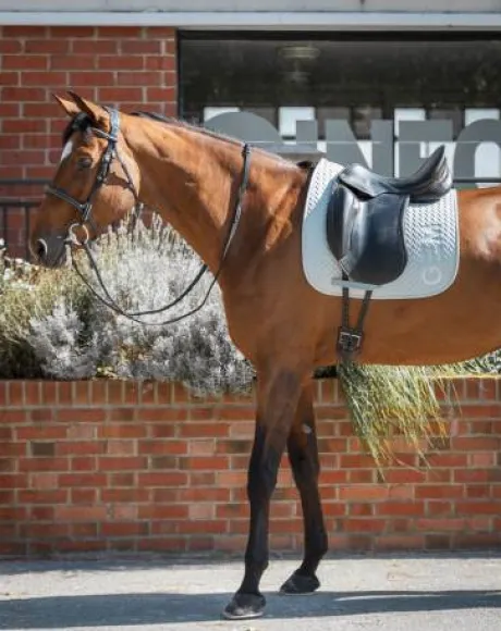 Tapis de selle Ten GEM en CSO ou Dressage