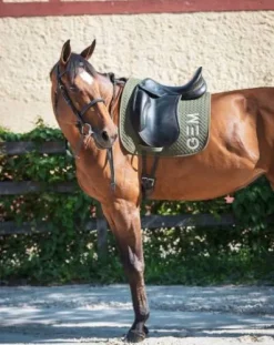 Tapis de selle Ten GEM en CSO ou Dressage