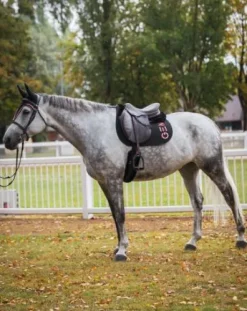 Tapis de selle Ten GEM en CSO ou Dressage