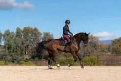 Tapis de selle Total Eclipse - Equestrian Stockholm