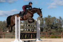 Tapis de selle Total Eclipse - Equestrian Stockholm