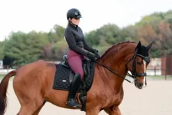 Tapis de selle Total Eclipse - Equestrian Stockholm