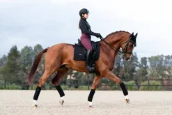 Tapis de selle Total Eclipse - Equestrian Stockholm