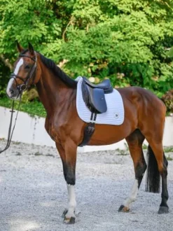Tapis de selle Upstate DRESSAGE - Tommy Hilfiger - Mémoire de forme