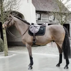 Tapis de selle Velvet Basic NOIR - Kentucky