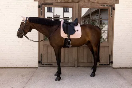 Tapis de selle Velvet Rose pale DRESSAGE - Kentucky