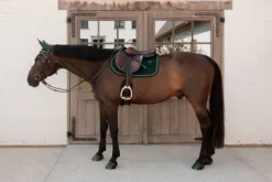 Tapis de selle Velvet Vert sapin - Kentucky - Tissu velours élégant