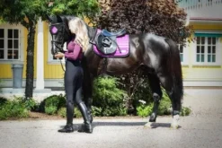 Tapis de selle Vivid Viola - Equito