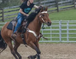 Tapis de selle Western confort en laine tissée Thiline