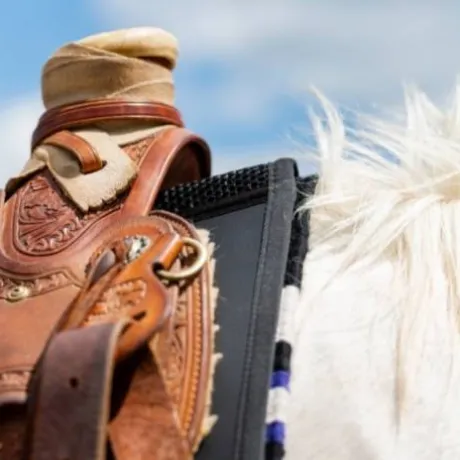 Tapis de selle Western Perfect Fit Thinline