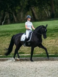 Tapis de selle White Perfection Silver - Equestrian Stockholm