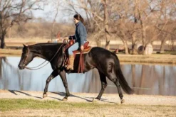 Tapis endurance mouton ciré et résistant Thinline