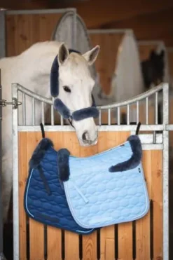 Tapis Eurofit Satiné Edition Limitée 2022 Blue  - Mattes