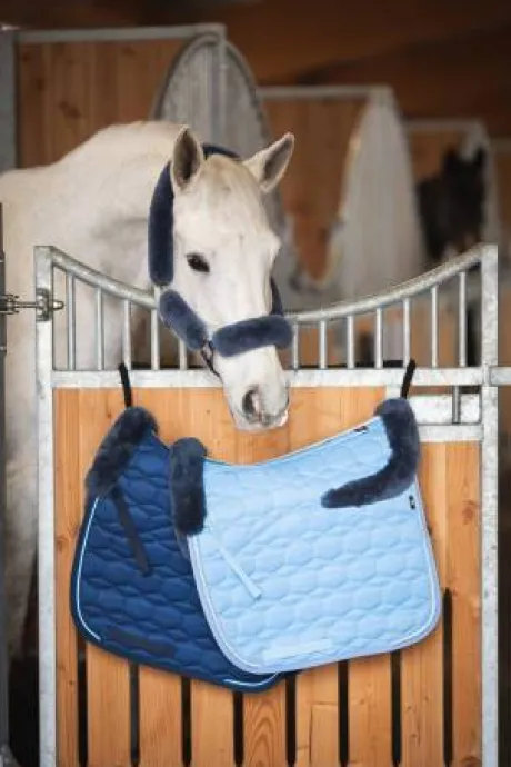 Tapis Eurofit Satiné Edition Limitée 2022 Blue - Mattes