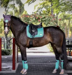 Tapis Frosty Mint - Equito