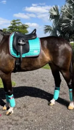 Tapis Frosty Mint - Equito