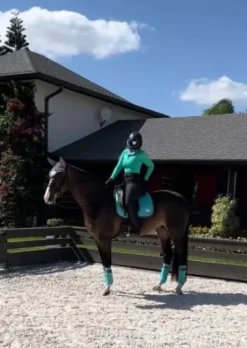 Tapis Frosty Mint - Equito